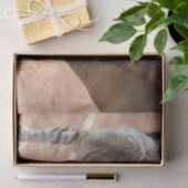 Freunde von Katzen und Pferden Seidenpapier (Geschenk)