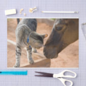 Freunde von Katzen und Pferden Seidenpapier (Handwerk)