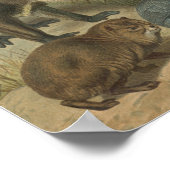 Freunde von Löwen und Tieren in Afrika Poster (Ecke)