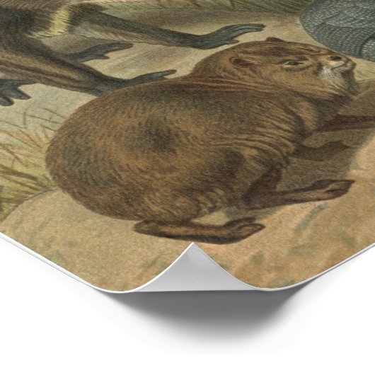 Freunde von Löwen und Tieren in Afrika Poster (Ecke)