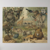 Freunde von Löwen und Tieren in Afrika Poster (Vorne)