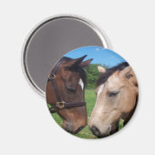 Freunde von Pferden Magnet (Vorderseite/Rückseite)