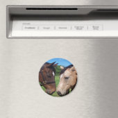 Freunde von Pferden Magnet (In Situ (Geschirrspüler))