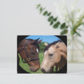 Freunde von Pferden Postkarte (Stehend Vorderseite)