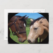 Freunde von Pferden Postkarte (Vorne/Hinten)