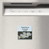 Freunde wie du Magnet, Magnet (In Situ (Geschirrspüler))