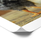 Freunde zusammenhalten - Schlucken der kleinen Hüh Poster (Ecke)