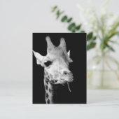 Freundin Postkarte (Stehend Vorderseite)