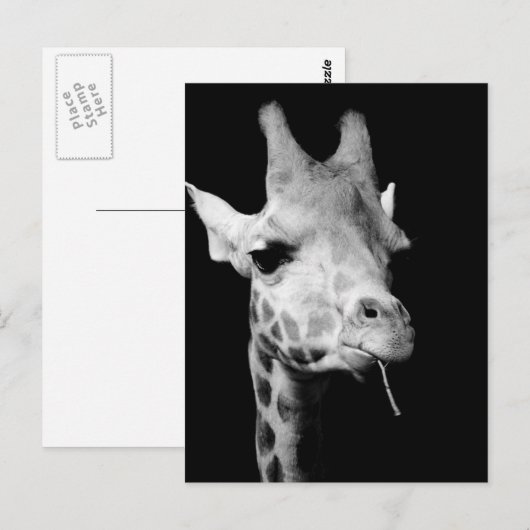 Freundin Postkarte (Vorne/Hinten)