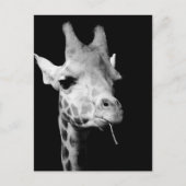 Freundin Postkarte (Vorderseite)