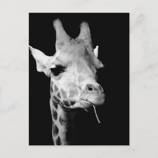 Freundin Postkarte (Vorderseite)