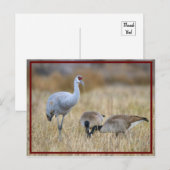 Freundinnen Postkarte (Vorne/Hinten)