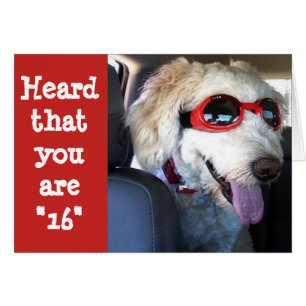 FREUNDLICH **16. BIRTHTAG**ZEIT NACH CELEBRATE!!!!