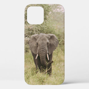 FREUNDLICH AUF EIN TOUR Case-Mate iPhone HÜLLE