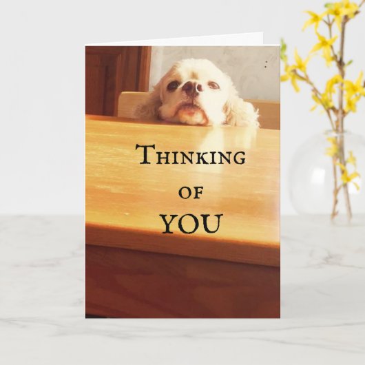 FREUNDLICH ***AUGUST BIRTHDAY*** FÜR SIE! KARTE (Gelbe Blume)