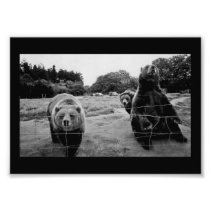 Freundliche Bären Fotodruck