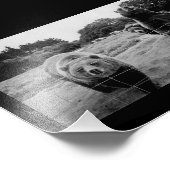 Freundliche Bären Fotodruck (Ecke)
