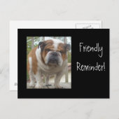Freundliche Erinnerung English Bulldog Postkarten (Vorne/Hinten)