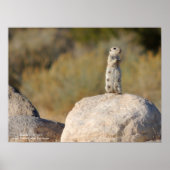 Freundliche Grüße Poster (Vorne)