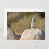 Freundliche Grüße Postkarte (Vorne/Hinten)