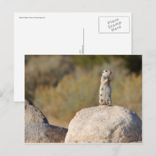 Freundliche Grüße Postkarte (Vorne/Hinten)