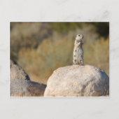 Freundliche Grüße Postkarte (Vorderseite)