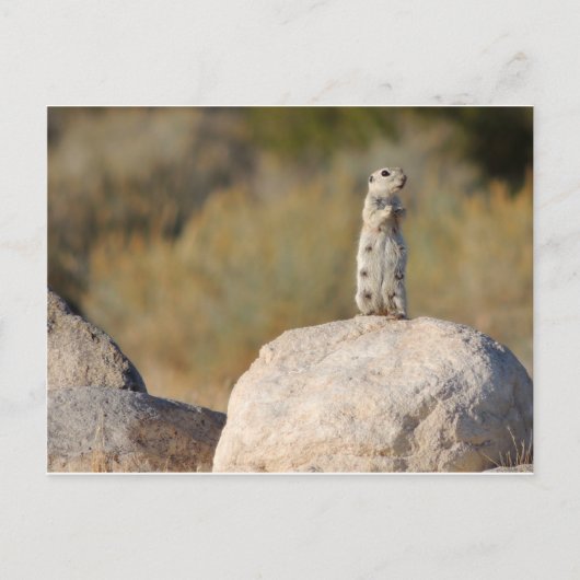 Freundliche Grüße Postkarte (Vorderseite)