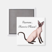 Freundliche junge Siamkatze Maßgeschneidertes Magn Magnet (Vorderseite/Rückseite)