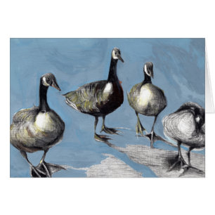 Freundliche Kanada-Gänse 2012