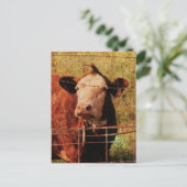 Freundliche Kuh Postkarte (Stehend Vorderseite)