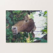 Freundliche Kühe 11x14" Jigsaw Puzzle (Horizontal)