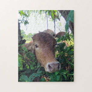 Freundliche Kühe 11x14" Jigsaw Puzzle