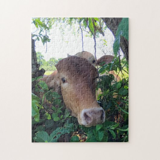Freundliche Kühe 11x14" Jigsaw Puzzle (Vertikal)