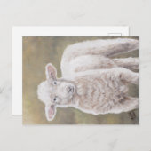 Freundliche Lamm Sheep Animal Art Postkarte (Vorne/Hinten)