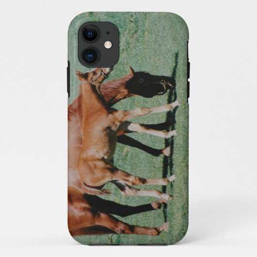 FREUNDLICHE PFERDE Case-Mate iPhone HÜLLE (Rückseite)