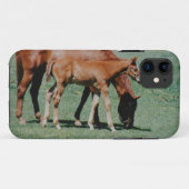 FREUNDLICHE PFERDE Case-Mate iPhone HÜLLE (Rückseite (Horizontal))