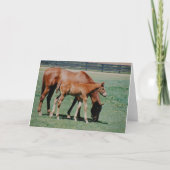 FREUNDLICHE PFERDE KARTE (Vorderseite)