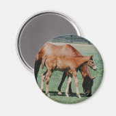 FREUNDLICHE PFERDE MAGNET (Vorderseite/Rückseite)