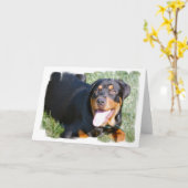 Freundliche Rottweiler Grußkarte Karte (Gelbe Blume)