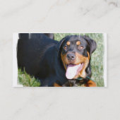 Freundliche Rottweiler HundeVisitenkarte Visitenkarte (Rückseite)