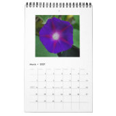FREUNDLICHE SCHÖNHEIT KALENDER (Mär 2027)