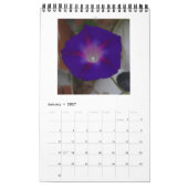 FREUNDLICHE SCHÖNHEIT KALENDER (Jan 2027)