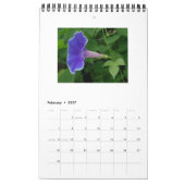 FREUNDLICHE SCHÖNHEIT KALENDER (Feb 2027)
