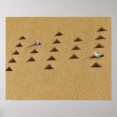 Freundliche Tauben Poster (Vorne)