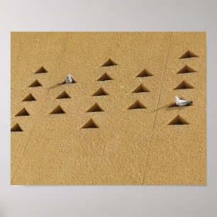 Freundliche Tauben Poster