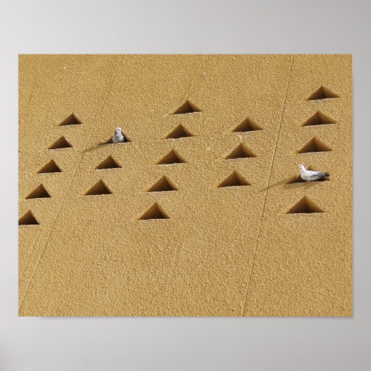 Freundliche Tauben Poster (Vorne)