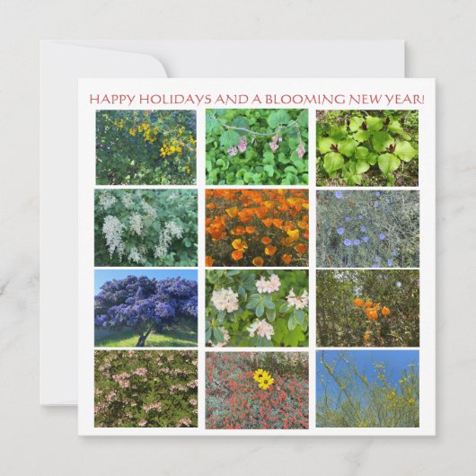 FREUNDLICHE URLAUB UND EIN BLUMENDES NEUES JAHR! MITTEILUNGSKARTE (Vorderseite)