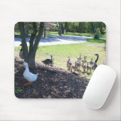 Freundliche weiße Ente mit Gänsen Mousepad (Mit Mouse)