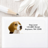 Freundlicher Beagle Dog individuell anpassbar (Insitu)