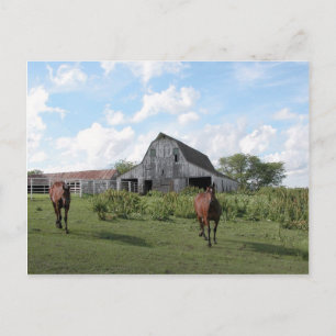 Freundlicher Empfang Postkarte